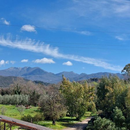 Agriturismo La Petrosa Ceraso Luaran gambar