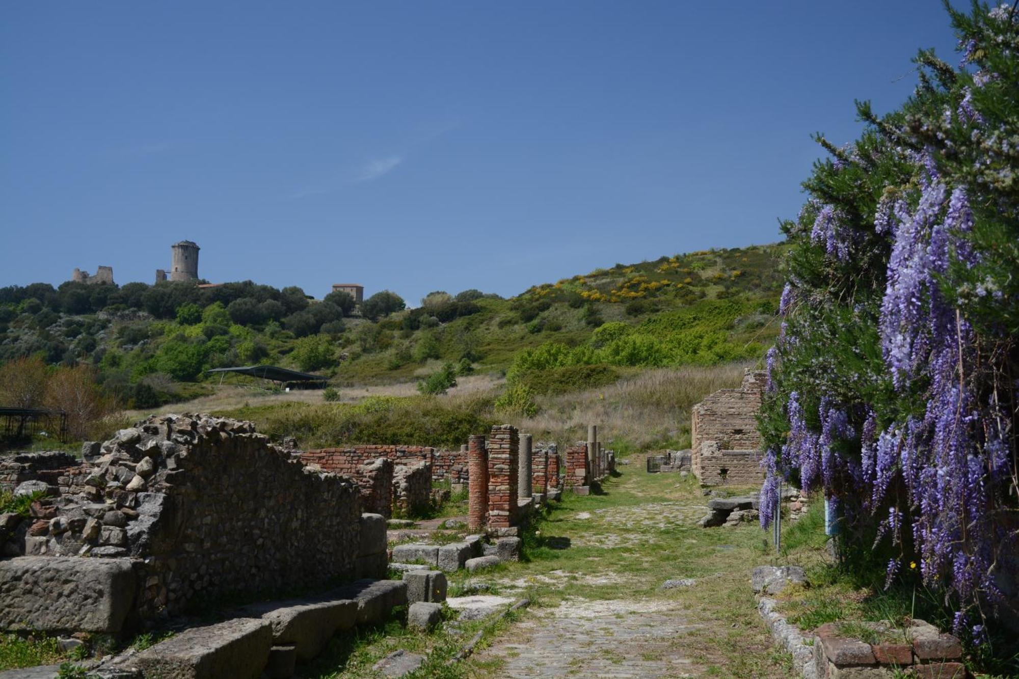 Agriturismo La Petrosa Ceraso Luaran gambar