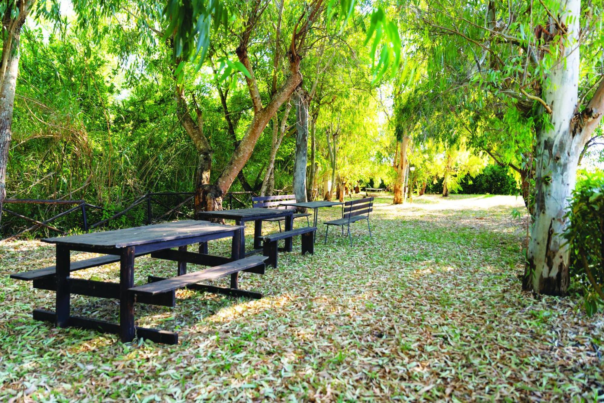 Agriturismo La Petrosa Ceraso Luaran gambar