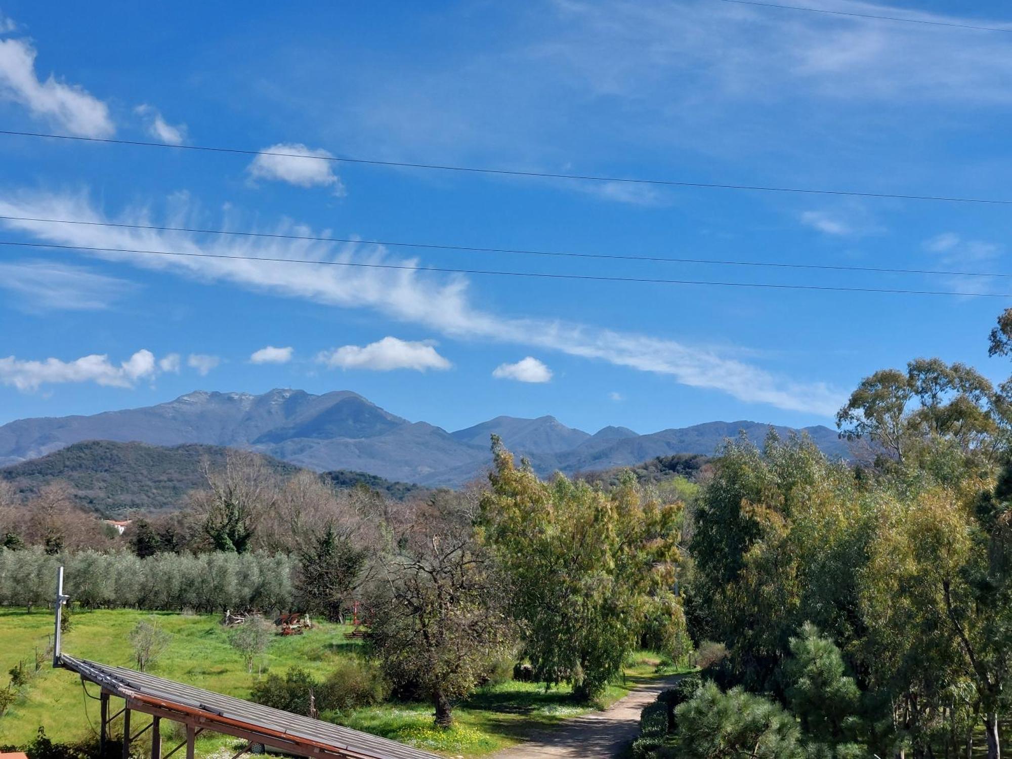 Agriturismo La Petrosa Ceraso Luaran gambar